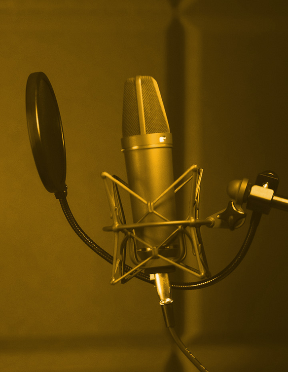 Beste Mikrofonierung für meine Stimme