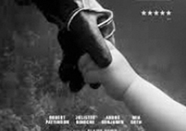 Audio described films