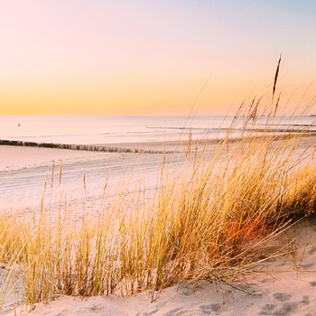 Künstlerische Fotografie einer ruhigen Strandlandschaft mit Dünengras bei Sonnenuntergang, zur Entspannung im Tonstudio.
