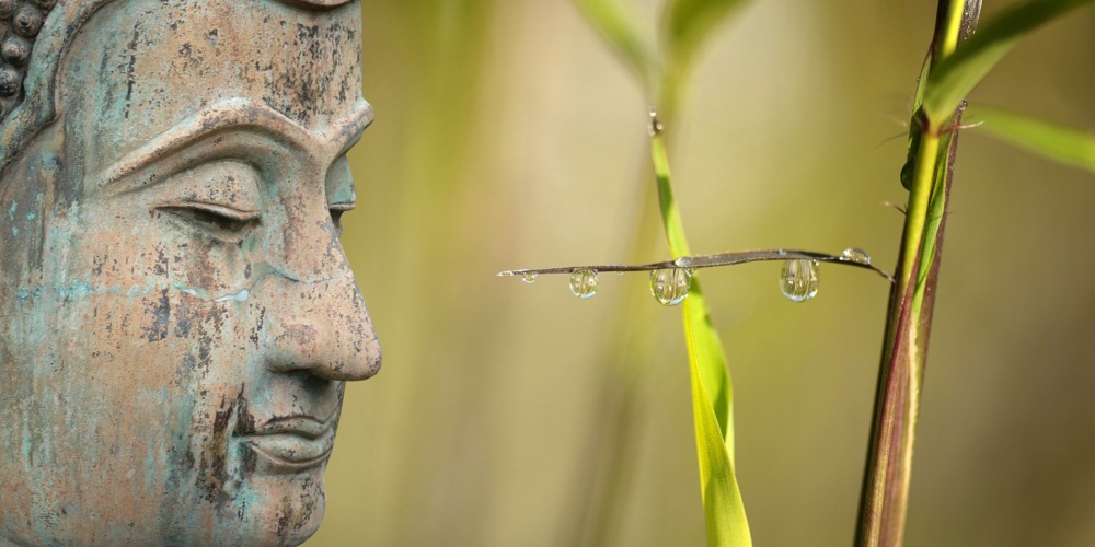 Seitlicher Blick auf Buddha-Skulptur und Bambusspross