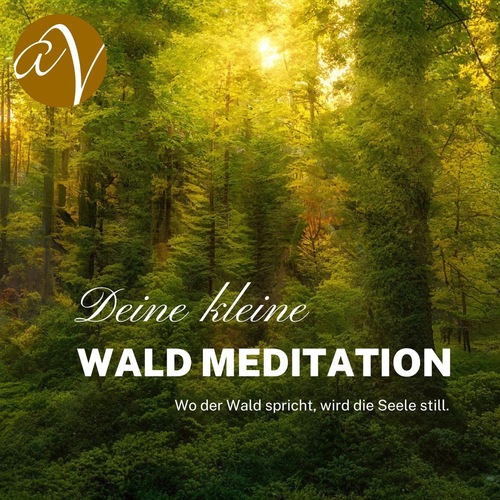 Wald Meditation