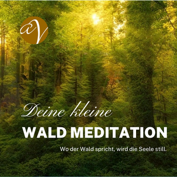 Wald Meditation