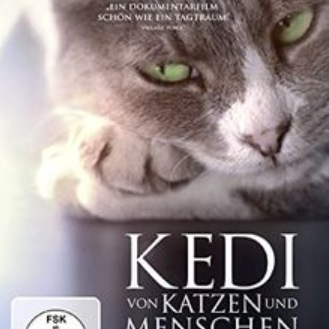 Kedi – Von Katzen und Menschen